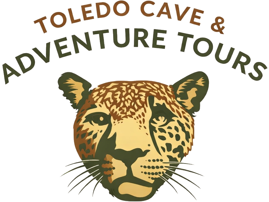 toledo_logo_clean