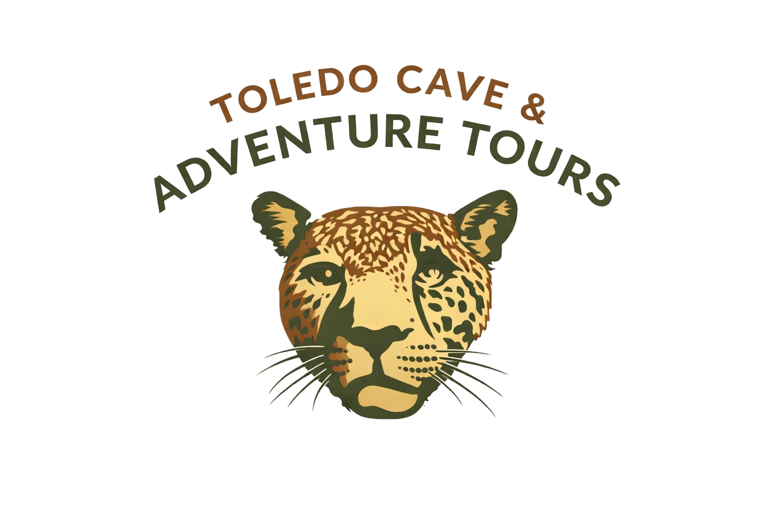 toledo_logo_clean